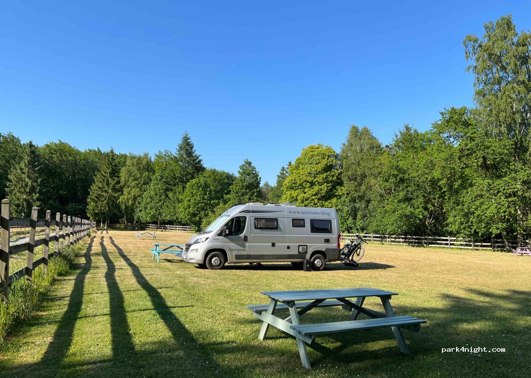Wüsthof Dammerstorf Stellplätze/Camping — foto 3