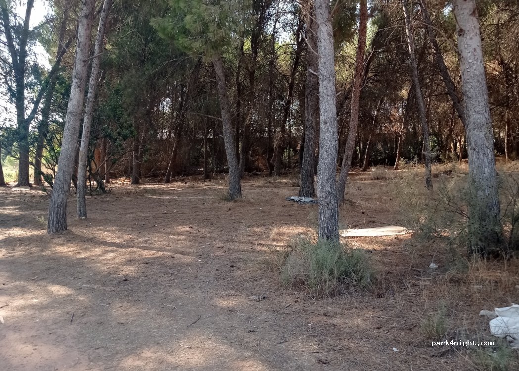 (46185) La Pobla de Vallbona - 3 Plaça Poligono N-05.R — foto