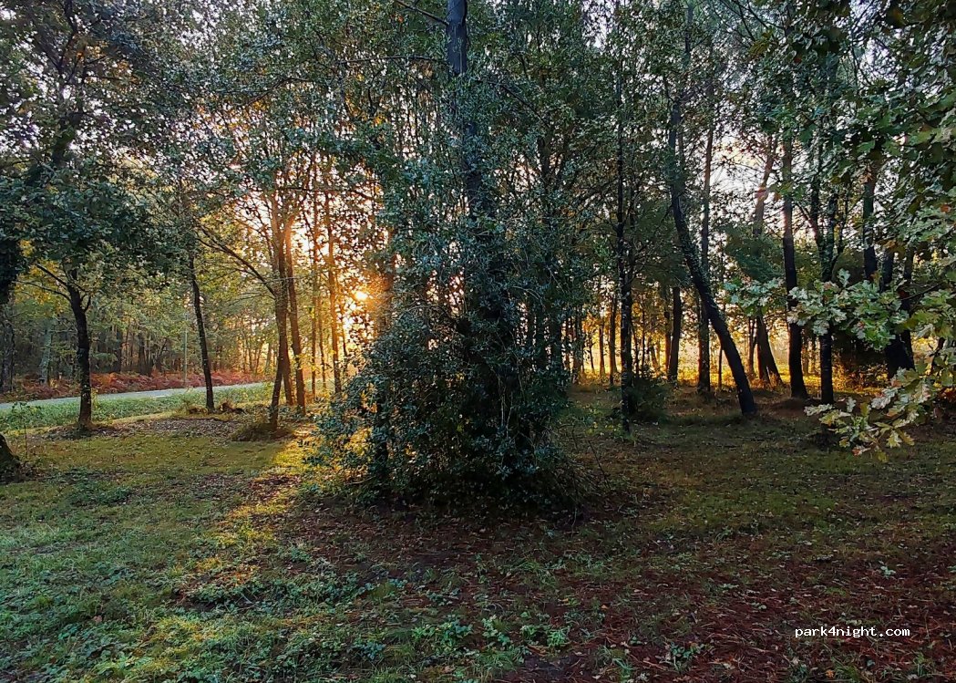 (33480) Avensan - Route de Saint-Aubin — foto 2
