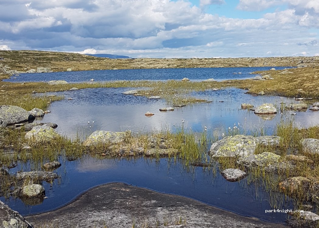 (3595) Haugastol - Haugastølvegen — foto 2