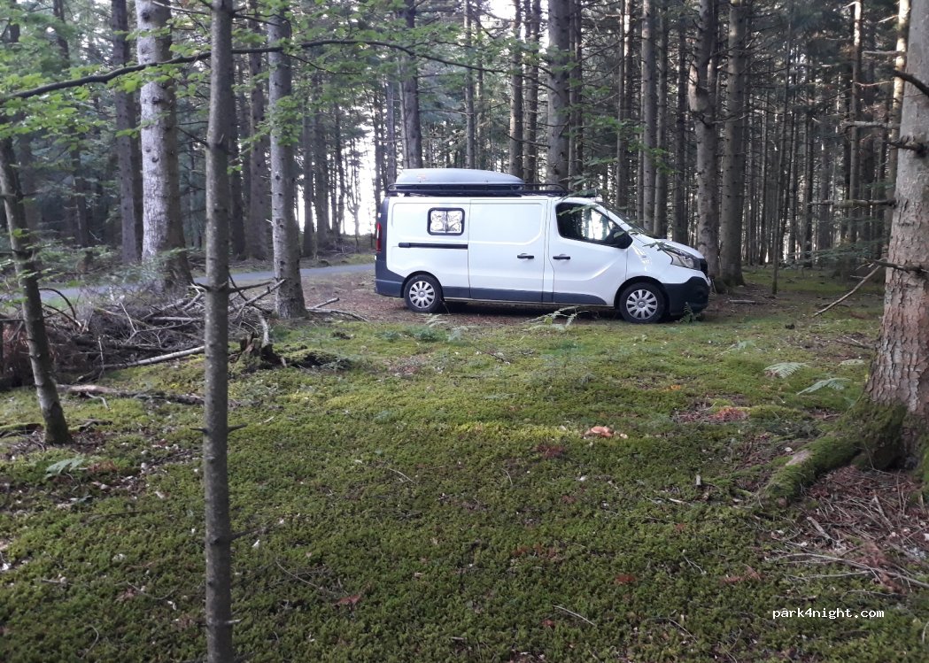 (43190) Chenereilles - Unnamed Road — foto 2