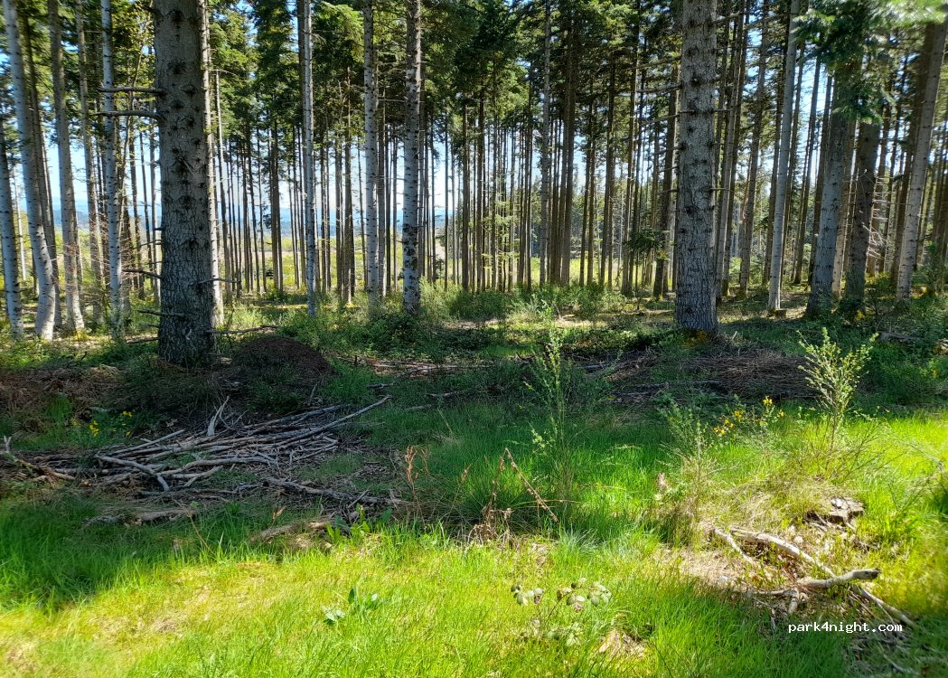 (43190) Chenereilles - Unnamed Road — foto 4