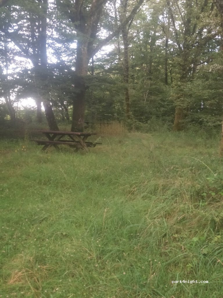 (88240) Fontenoy-le-Château - Censé Pharisien — foto 2