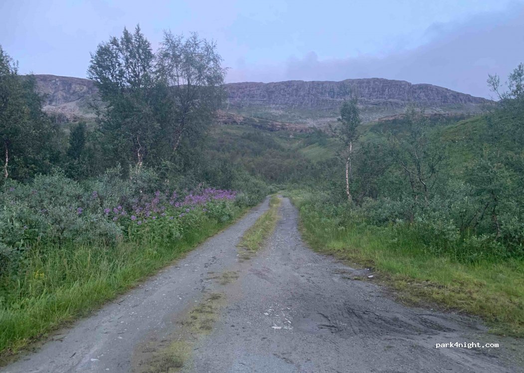 (8690) Hattfjelldal - Riksveg 73 — foto 3