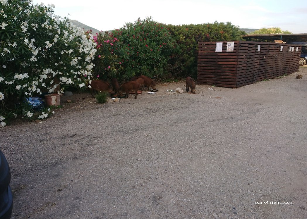 (07041) Maristella - 54 Via Porto Conte — foto