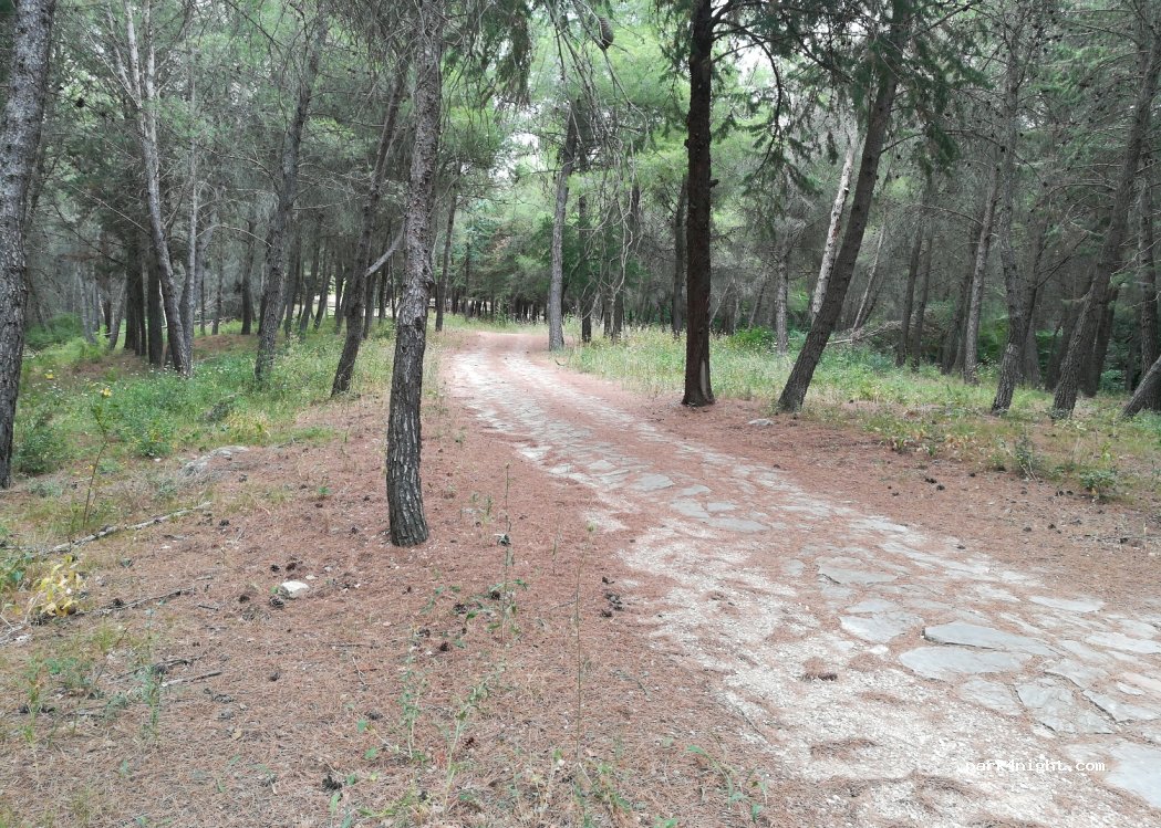 (83049) Monteverde - Unnamed Road — foto 2