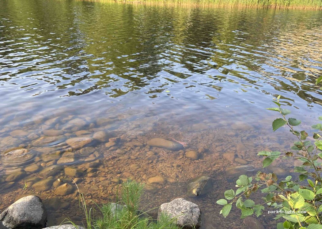 (77600) Suonenjoki - 258 Saikarintie — foto 3