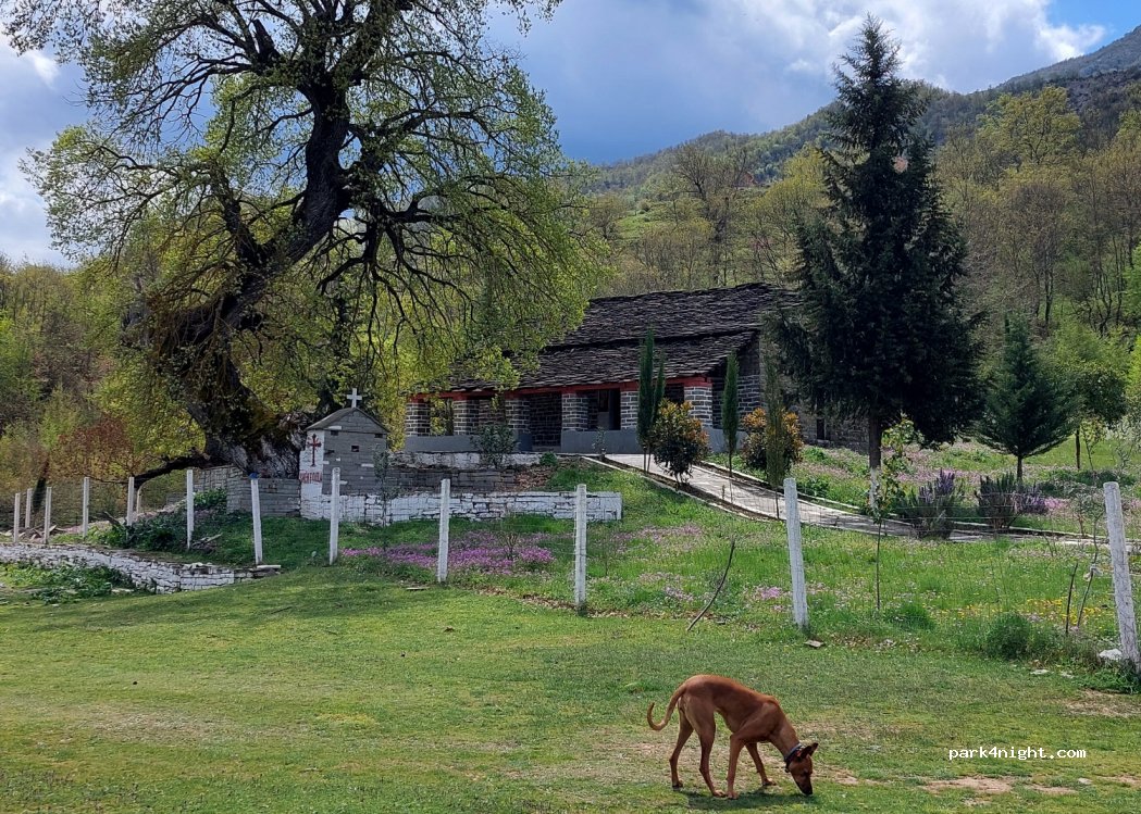 (3309) Grabovë - — foto 3