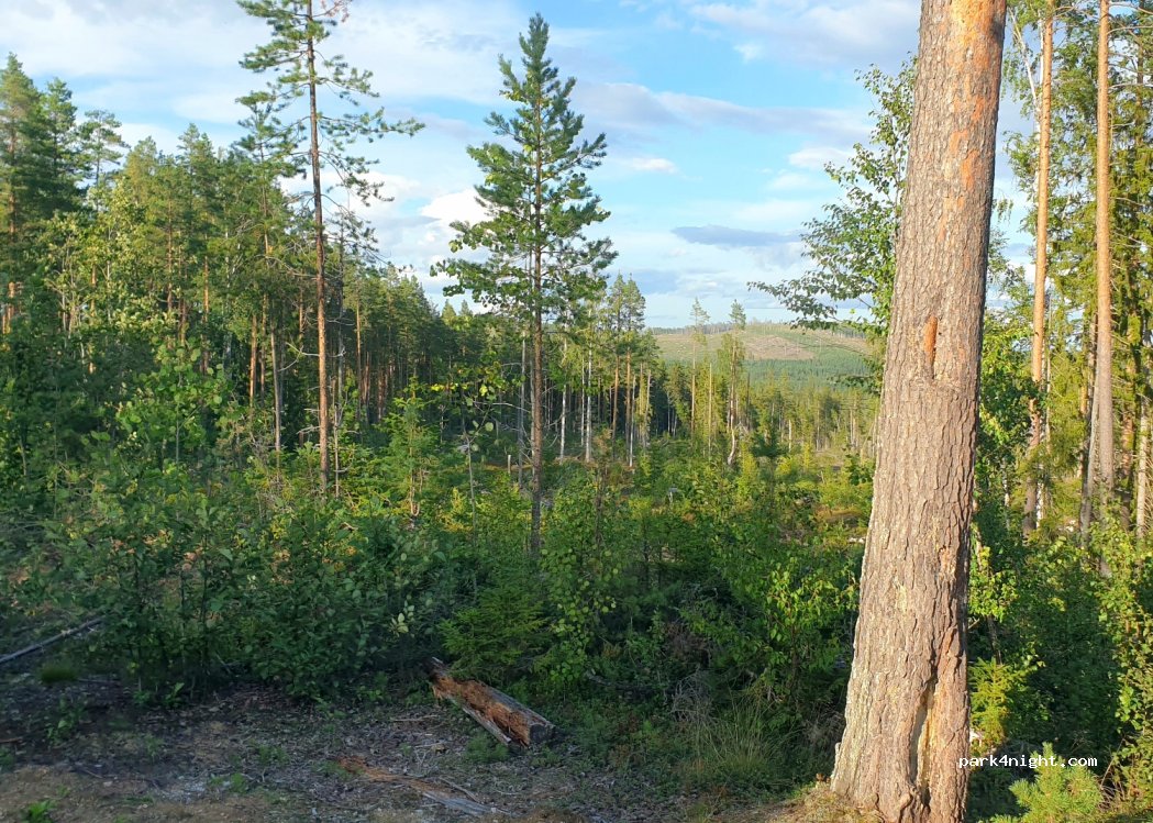 (820 43) Kårböle - Unnamed Road — foto 3