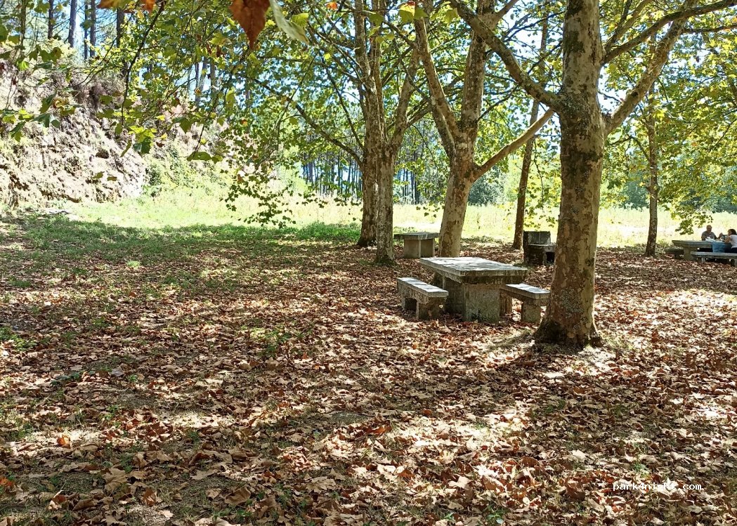 (15981) A Igrexa - DP-3302 — foto