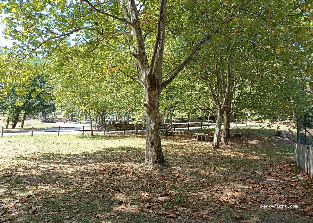(15981) A Igrexa - DP-3302 — foto 2