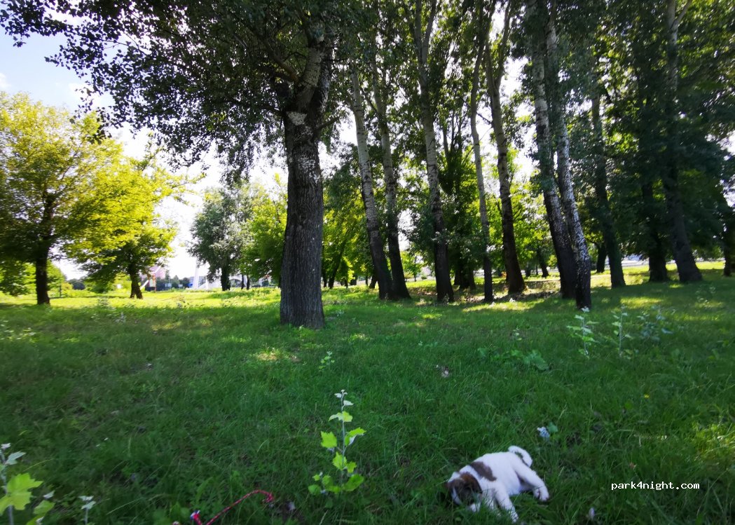 (31000) Tvrđavica - Nasip ulica — foto