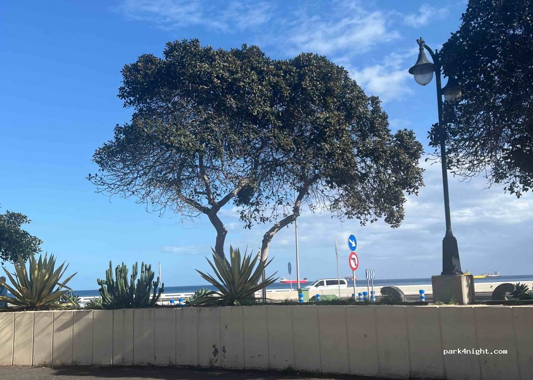 (35016) Las Palmas de Gran Canaria - — foto 3
