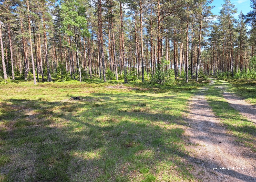 (330 27) Hestra - Unnamed Road — foto 2