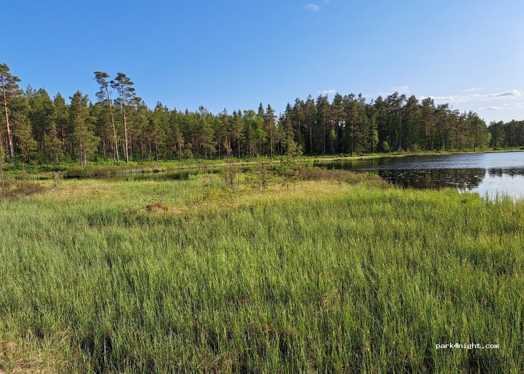 (330 27) Hestra - Unnamed Road — foto 4