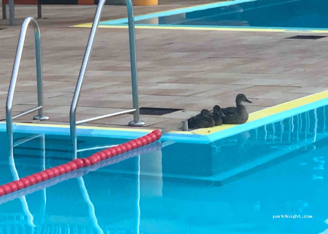 Freibad Jahnsdorf — foto