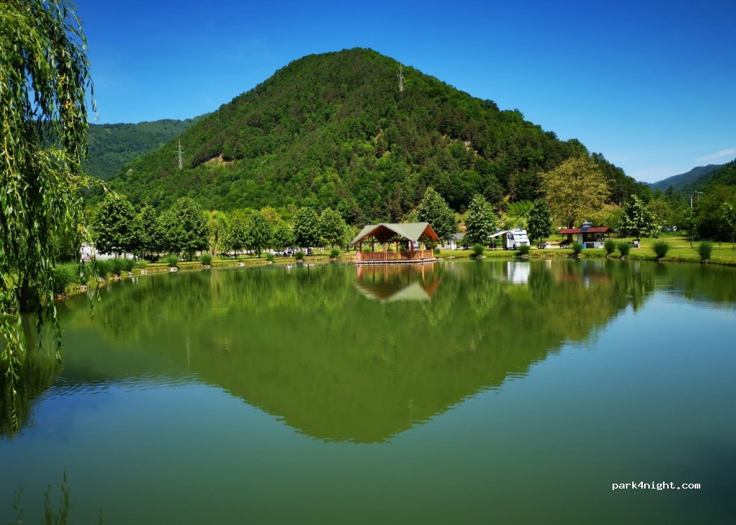 Camping Balta cu Tei — foto 3