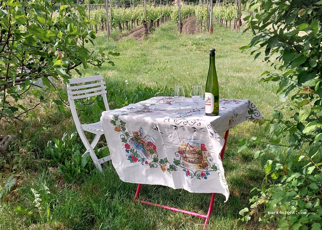Vins MARZOLF — foto