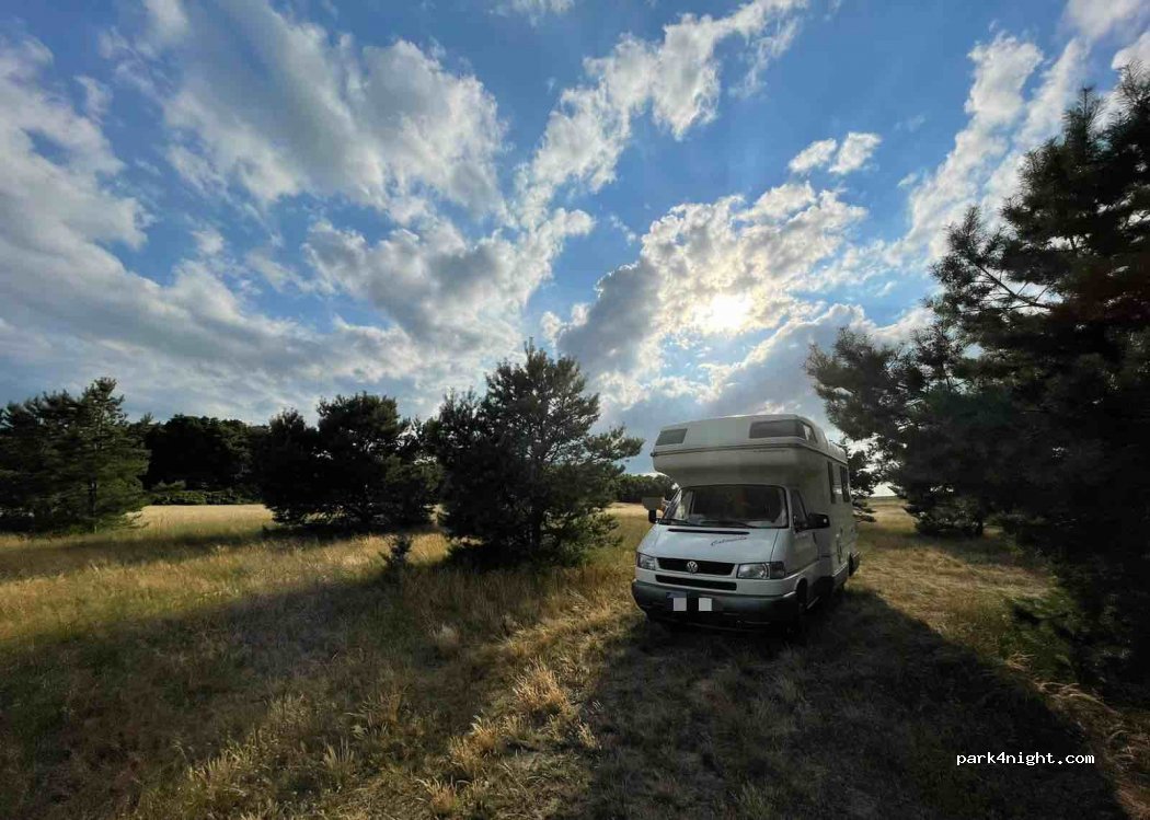 (17459) Loddin - 2B Ausbau — foto