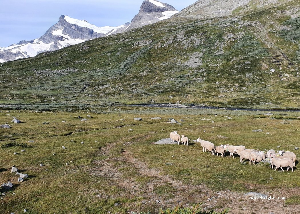 (2687) Bøverdalen - 1448 Leirdalsvegen — foto 3