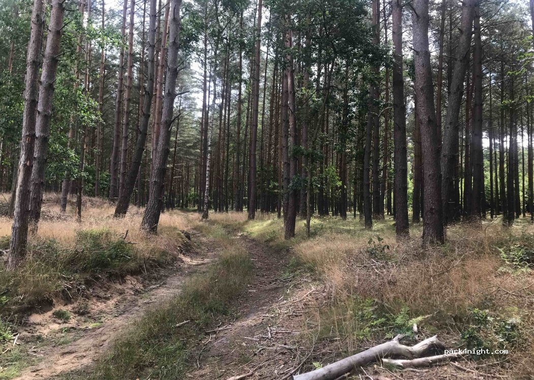 (84-360) Steknica - Droga Wojewódzka 214 — foto