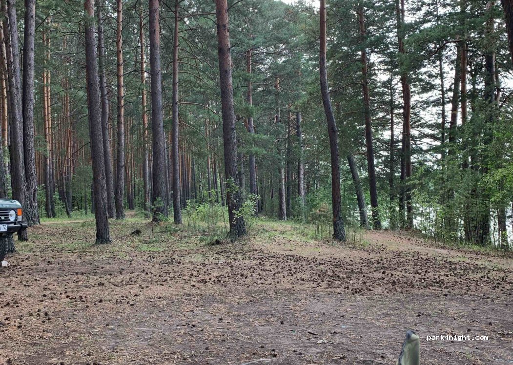 (625519) Chernaya Rechka - Unnamed Road — foto 2