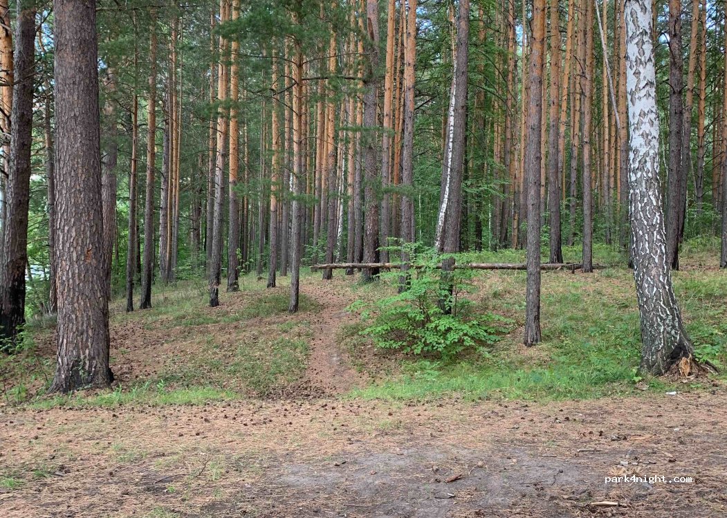 (625519) Chernaya Rechka - Unnamed Road — foto 3