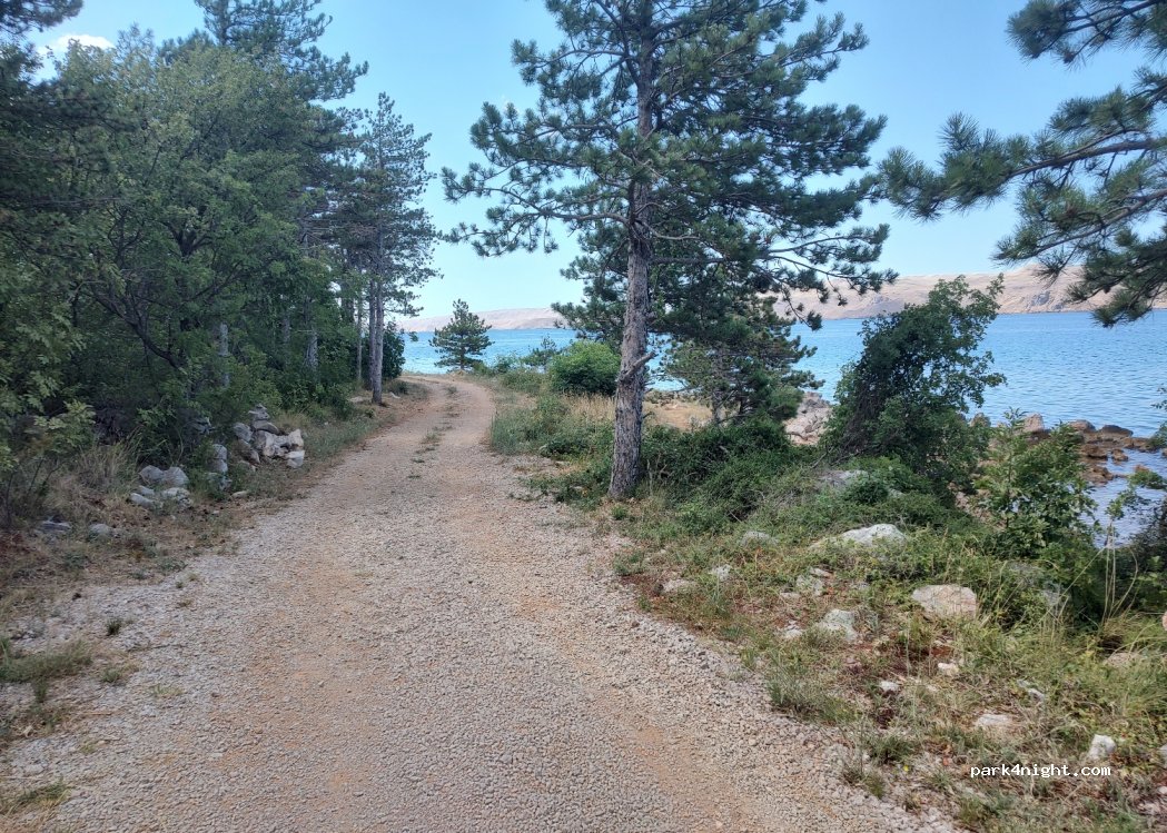 (53288) Staništa - D8 — foto 2