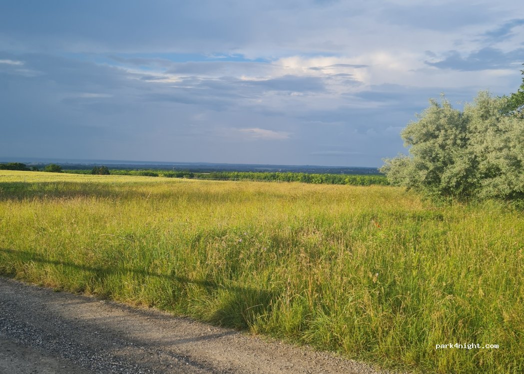 Dharma - Mentett Állatok Kertje — foto 4