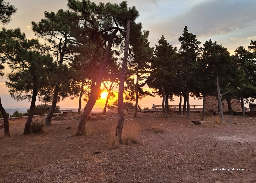 (46590) Albalat dels Tarongers - 85A Plaça Poligono 11 — foto