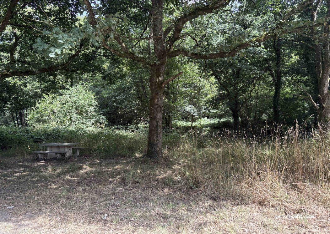 (22720) Plésidy - D767 — foto 2