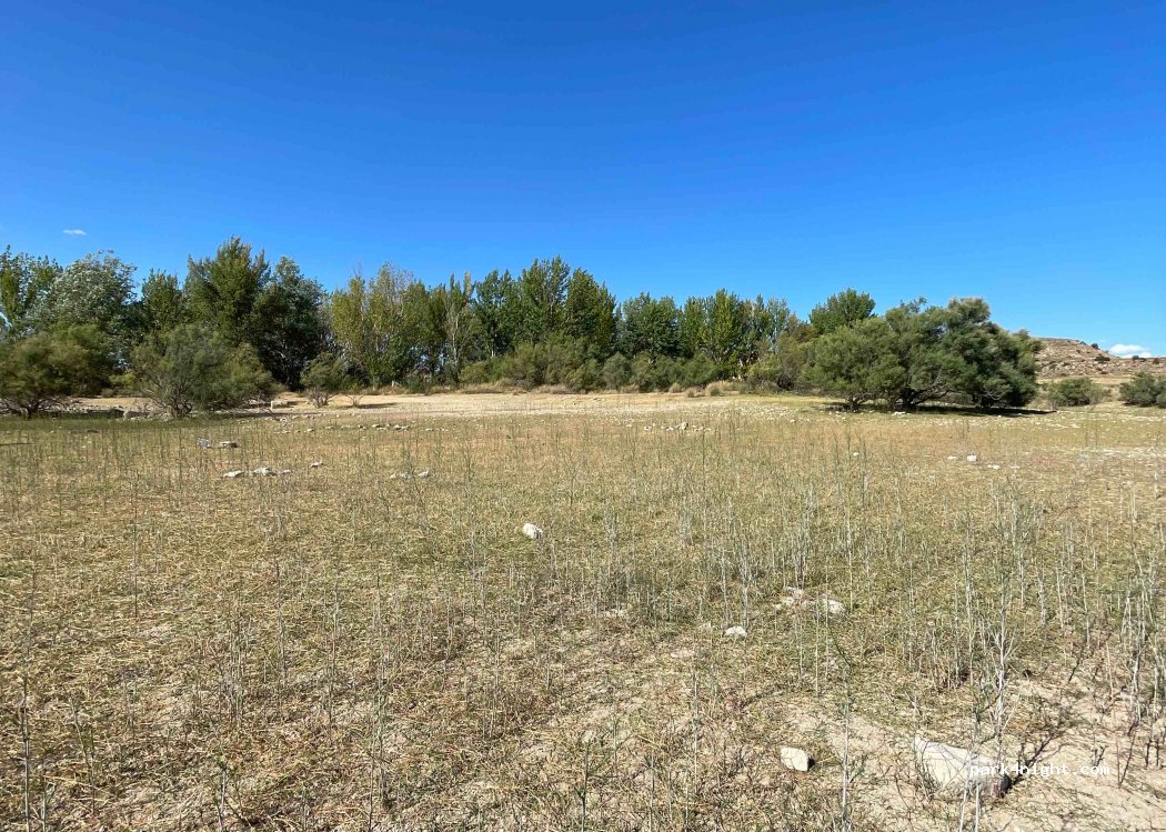 (50700) Caspe - Unnamed Road — foto 2