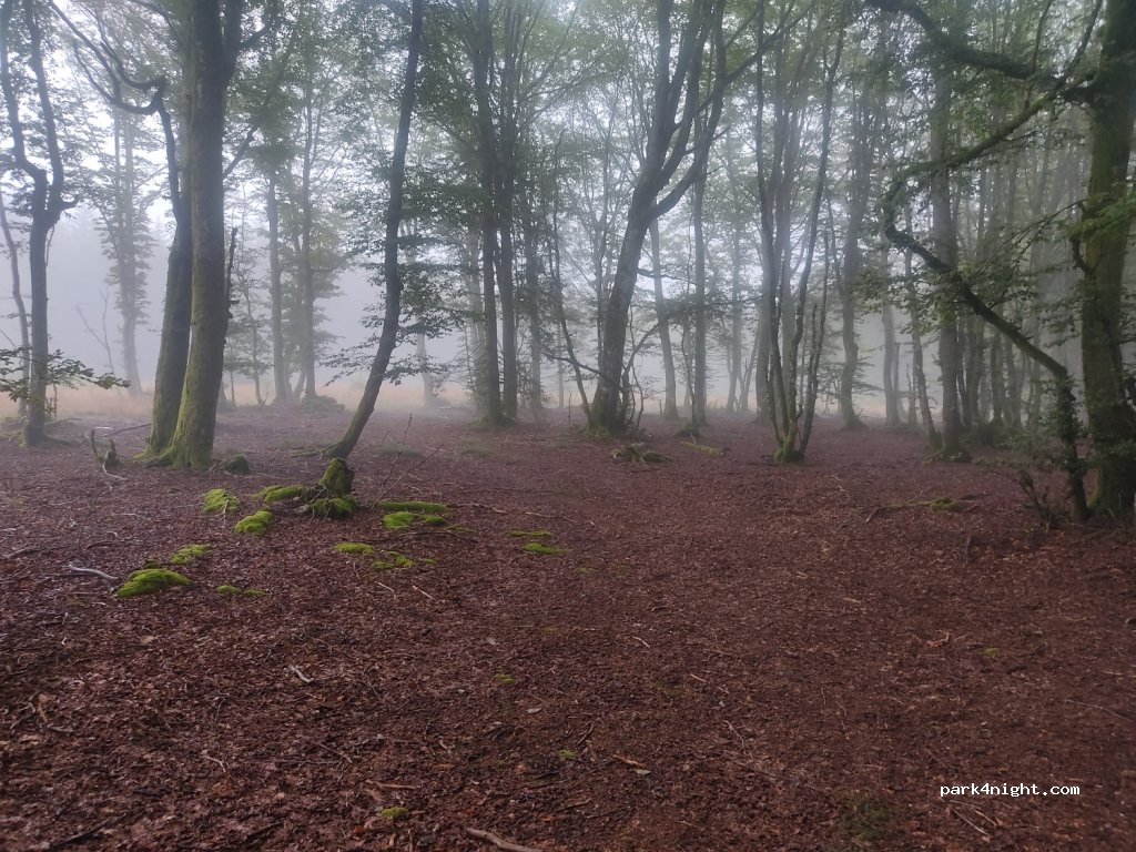 (58370) Glux-en-Glenne - Unnamed Road — foto