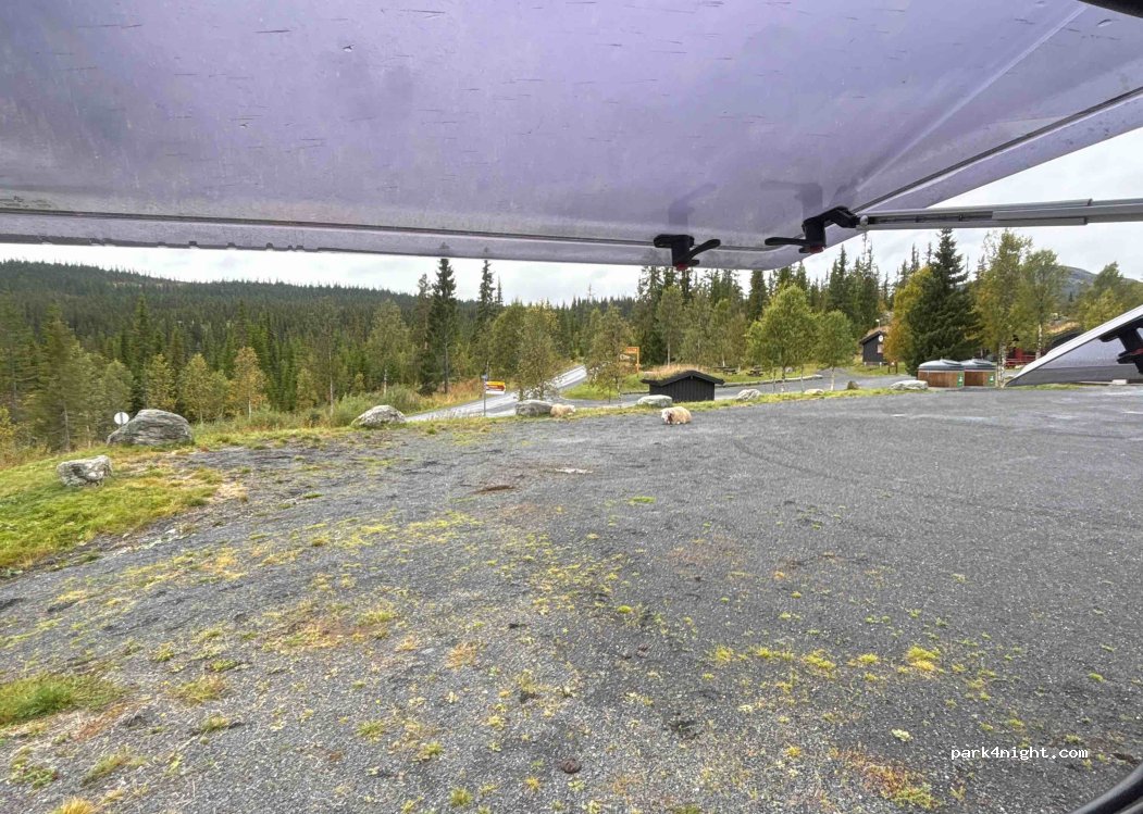(2653) - 1250 Sekundær Fylkesveg 204 — foto 2