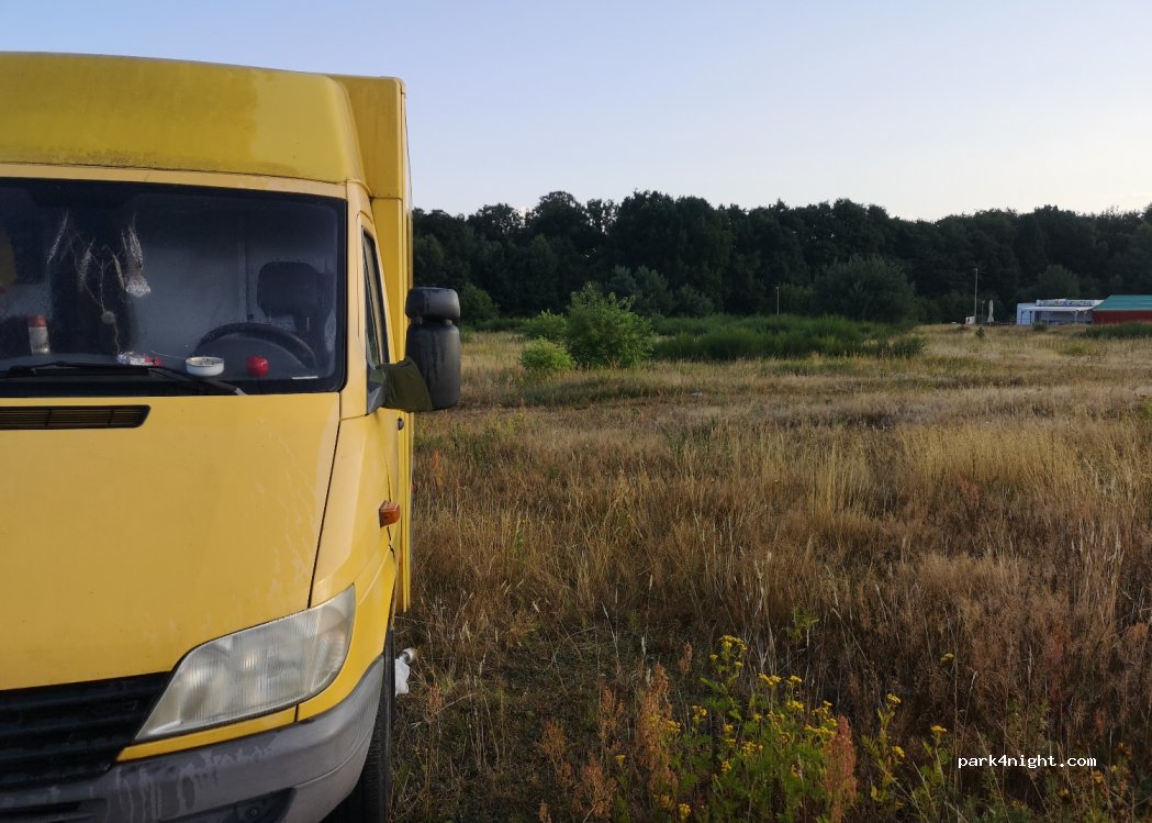 (76-211) Dębina - 4 Sosnowa — foto