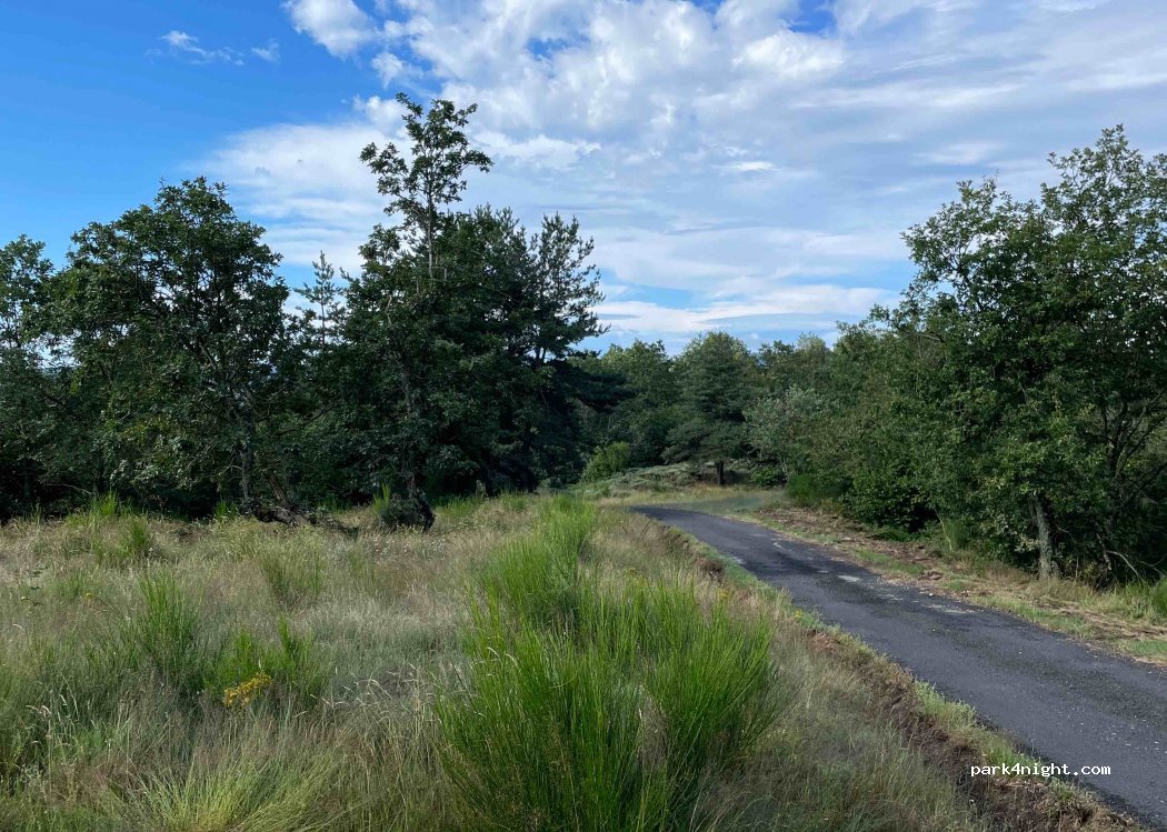 (07160) Dornas - Unnamed Road — foto