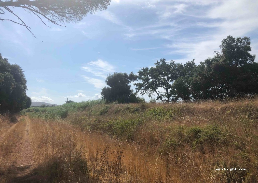 (57027) San Vincenzo - Unnamed road — foto