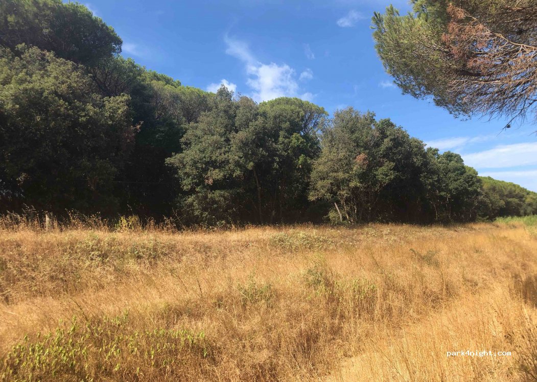 (57027) San Vincenzo - Unnamed road — foto 2