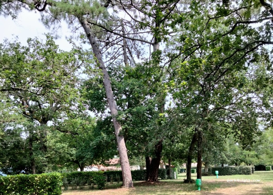 Les Bonnes Vacances — foto 2