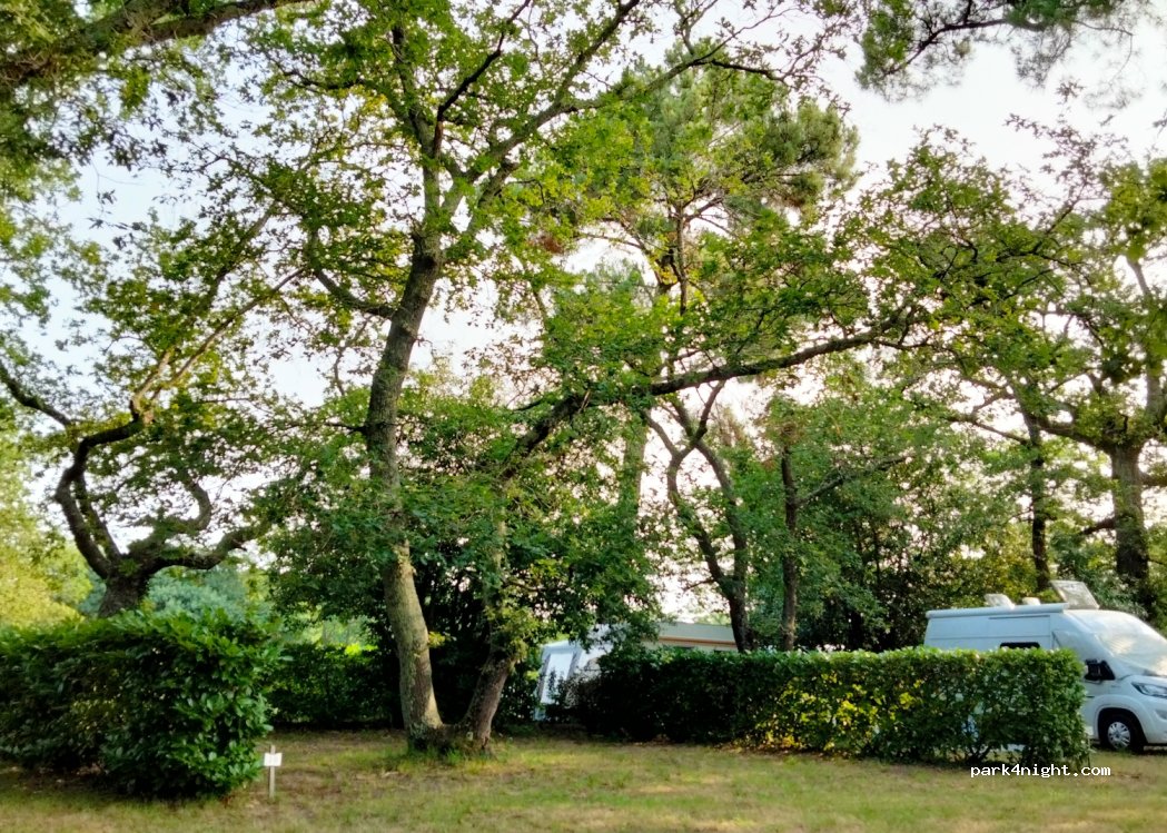 Les Bonnes Vacances — foto 3