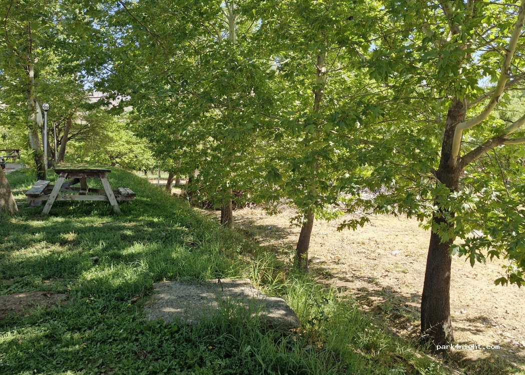 (24300) Refahiye - Amasya - Erzurum Yolu — foto 2