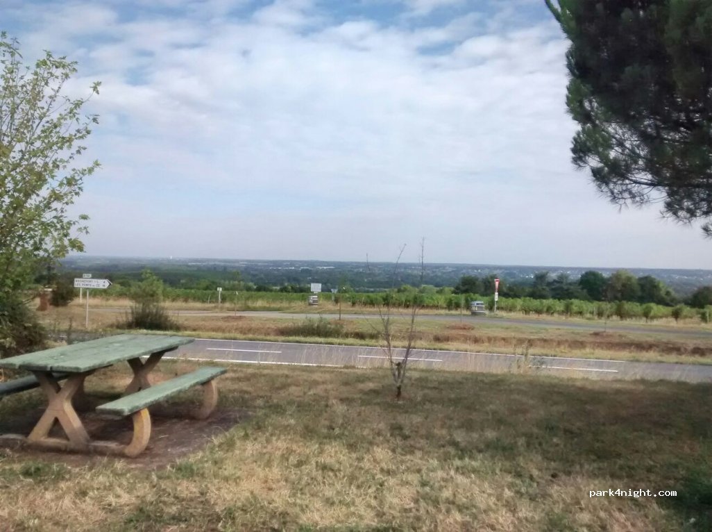 (49190) Saint-Aubin-de-Luigné - La Feuille d'Or — foto