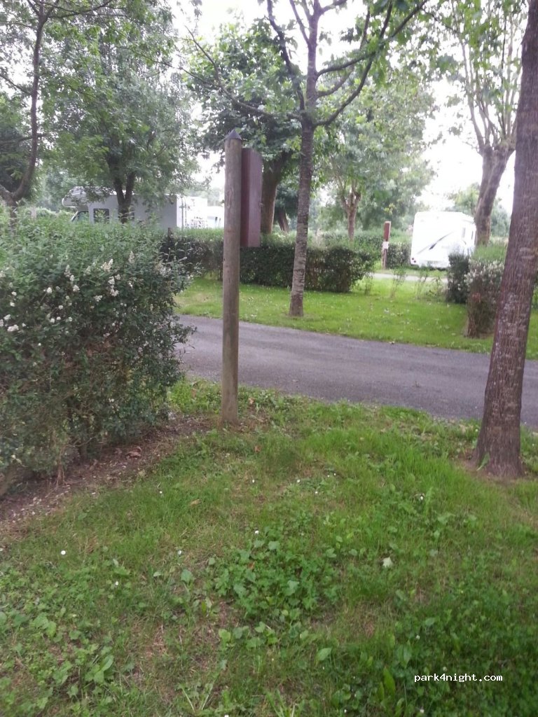 (49190) Saint-Aubin-de-Luigné - La Feuille d'Or — foto 3