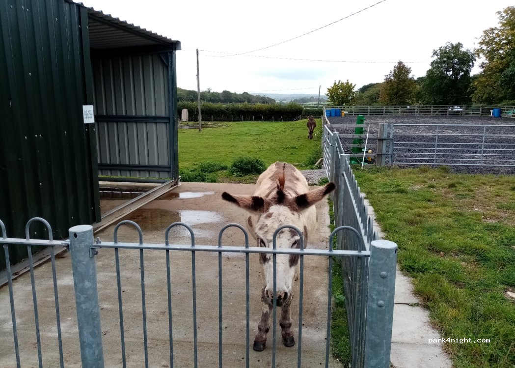 Cobbs Hill Farm — foto 4