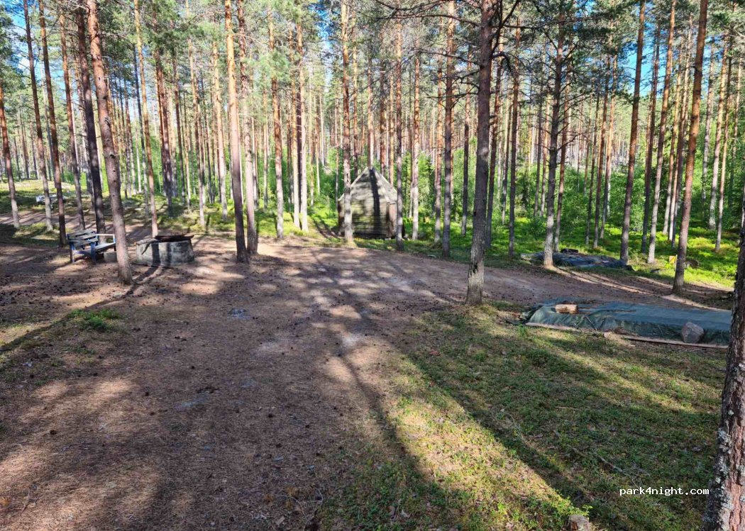 (2435) Braskereidfoss - 100 Svenskebuvegen — foto 2