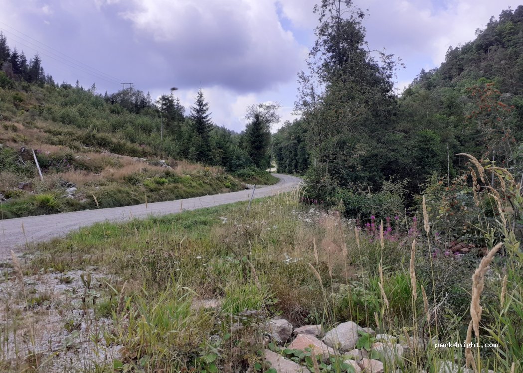 (4534) Marnardal - Oppsalveien — foto