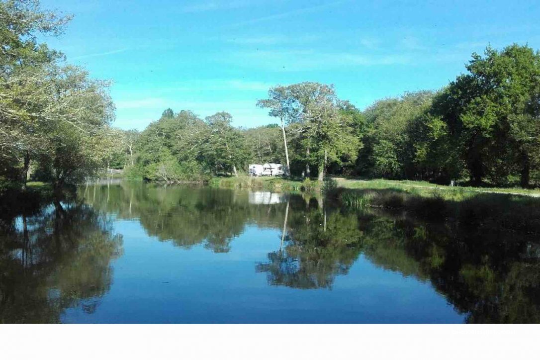 (40200) Mimizan - 32 Avenue du Lac — foto 2