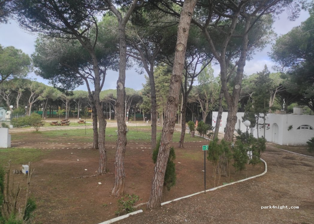 TAIGA Conil — foto
