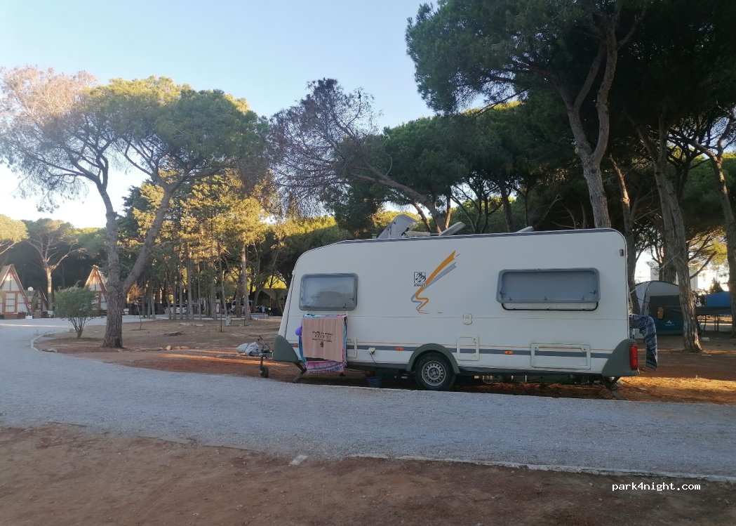 TAIGA Conil — foto 3
