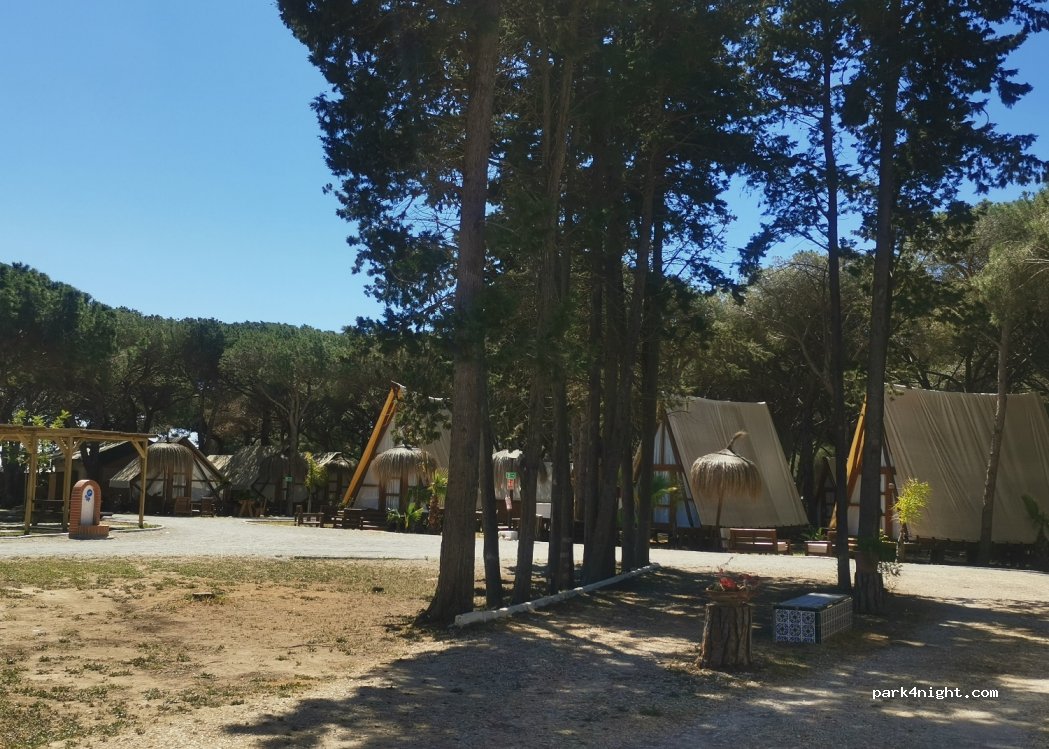 TAIGA Conil — foto 4